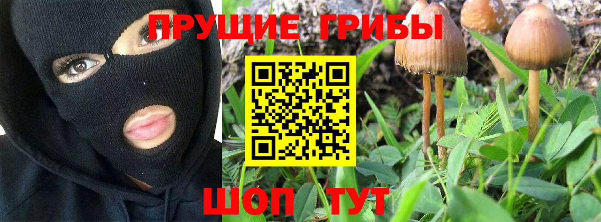 Псилоцибиновые грибы MAGIC MUSHROOMS  Вход с VPN  Галлюциногенные грибы ЛСД  Якутск 